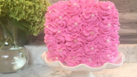 Simple Succulent Cake – Harvard Sweet Boutique Inc