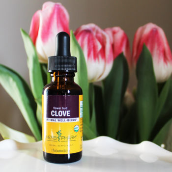 Clove Oil sitting in front of flowers