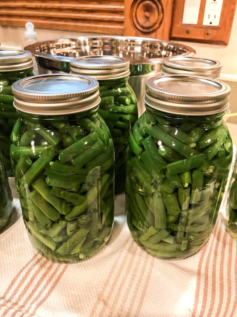 Jars filled with green beans ready to be pressurized.