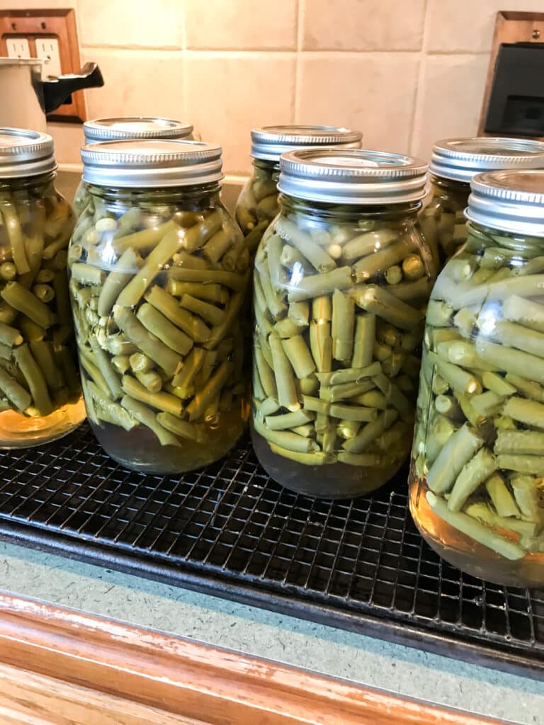 Jars pulled from pressure canning cooling on a cooling rack.