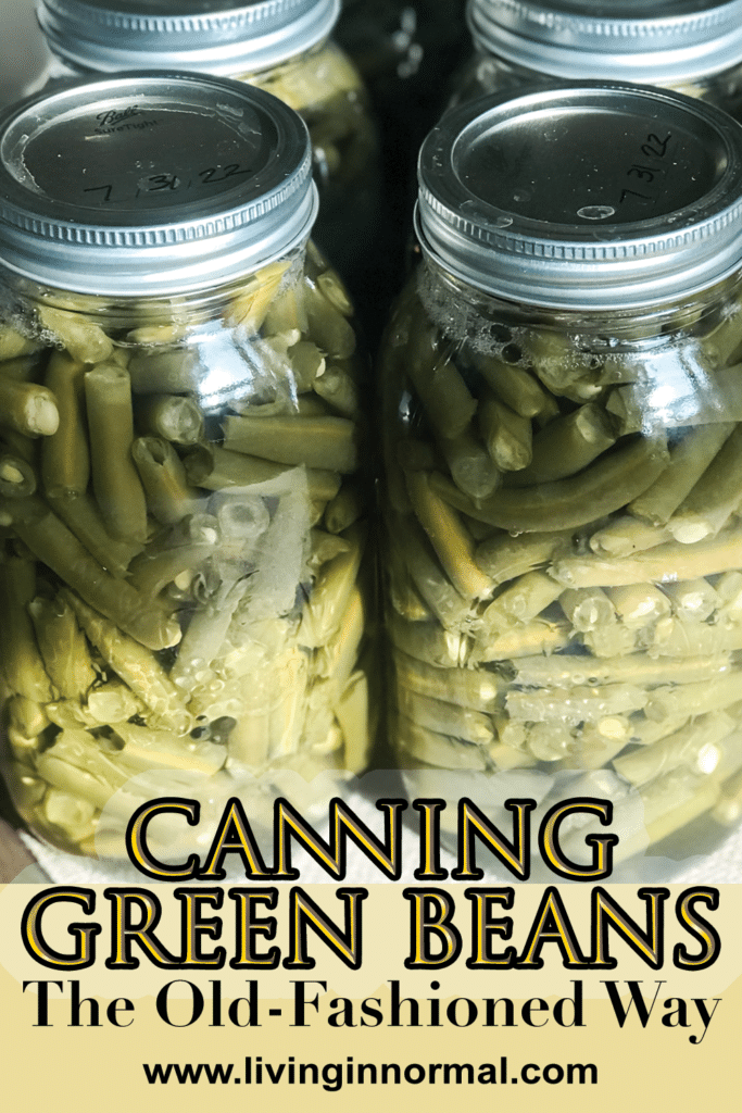 Canning green beans the old fashioned way pinterest image with green beans sitting on a table.