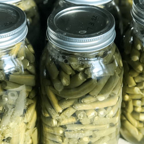 Canned green beans after being pressurized and lids sealed.