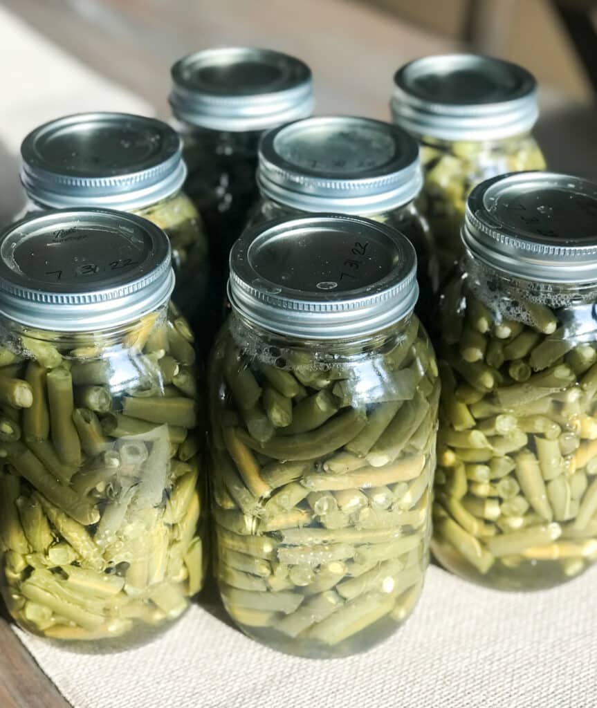 Canned green beans after being pressurized and cooled. All lids are sealed.