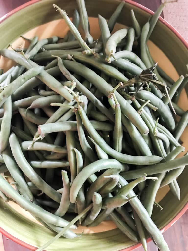 fresh green beans sitting in a bowl