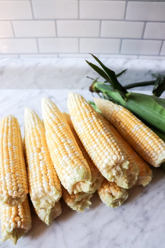 Fresh corn on the counter.